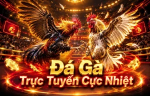 guozhifengvip đá gà picture 1